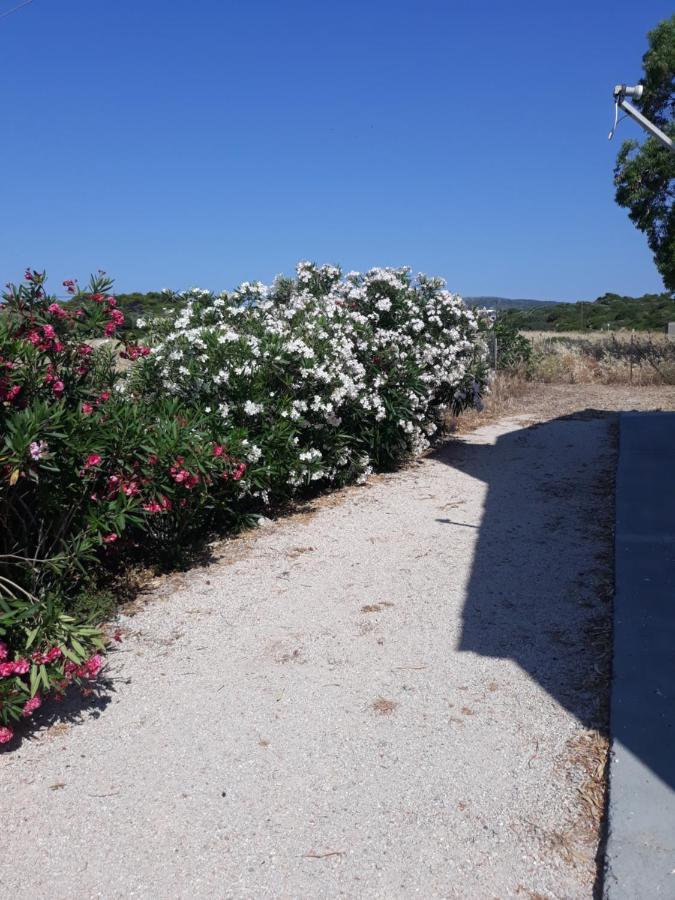 Villa Fantasea Πλημμύρι Εξωτερικό φωτογραφία